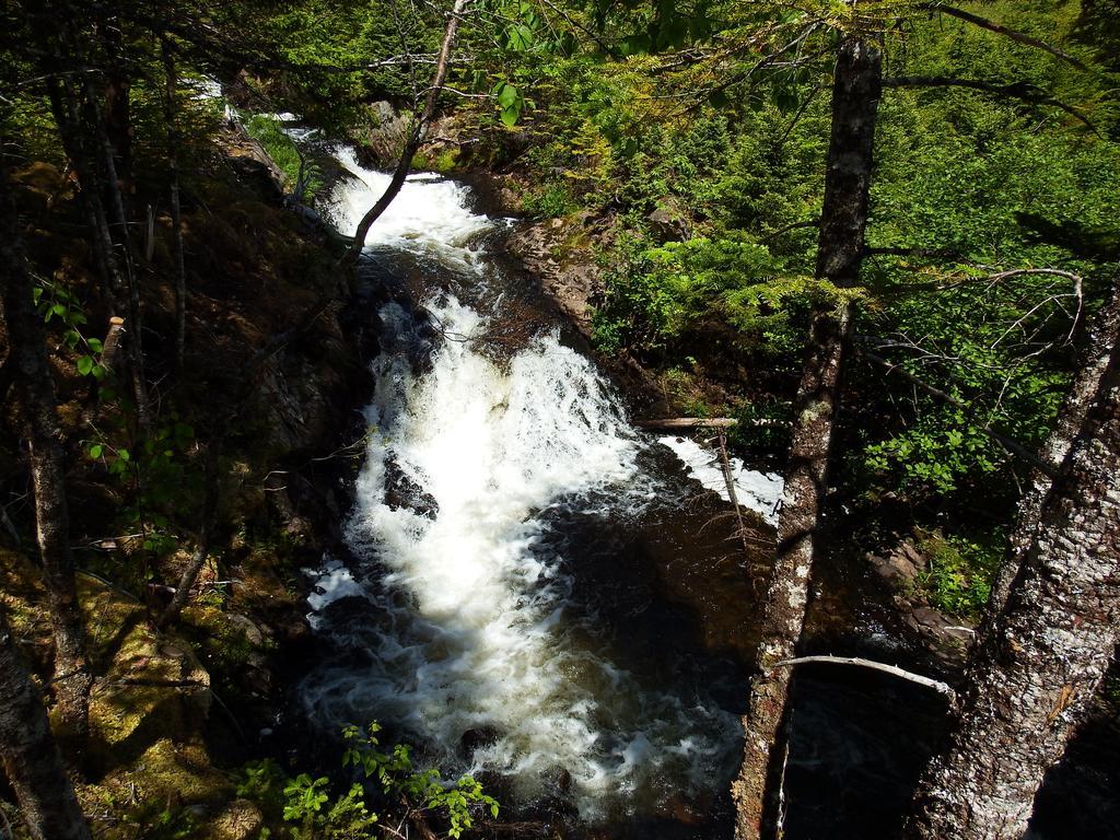 The Wilds At Salmonier River Holyrood Exterior foto